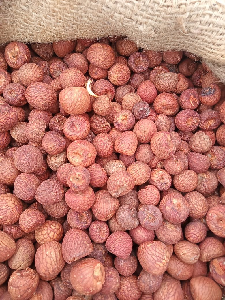 Arecanut